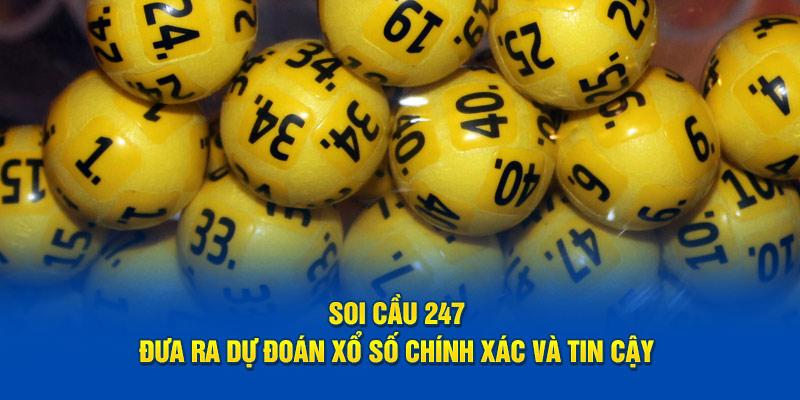 soi-cau-247-dua-ra-du-doan-xo-so-chinh-xac-va-tin-cay